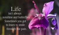 Life-Isn_t-Always-Sunshine-And-Butterflies-Sometimes-You-Got-To-Learn-To-Smile-Through-The-Pain