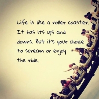 95263-Life-Is-Like-A-Roller-Coaster