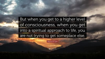 3772078-Wayne-W-Dyer-Quote-But-when-you-get-to-a-higher-level-of